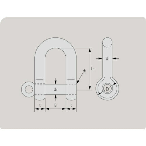 ＴＡＩＹＯ　捻込シャックル　電気　６ＭＭ（３００８６６４） NGS6E