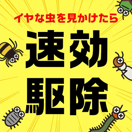 アース　虫コロリアース（粉剤）５５０ｇ 253118