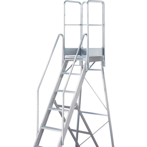 ＴＲＵＳＣＯ　踏み台ＴＤＡＤ用フルセット手すり　高さ１１００ｍｍ　本体高さ２．１０ｍ用 TDAD-TF-210-110