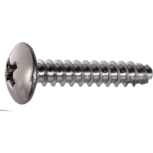 【取寄品】 ＴＲＵＳＣＯ トラス頭タッピングねじ ２種溝付Ｂ１ ステンレス Ｍ４×１４ ２７０本入 ヘキサゴンパック S038-0414 【送料都度見積】