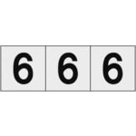 ＴＲＵＳＣＯ　数字ステッカー　３０×３０　「６」　透明地／黒文字　３枚入 TSN-30-6-TM