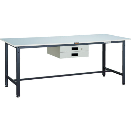 ＴＲＵＳＣＯ　軽荷重作業台（３００ｋｇ）ＡＥ型　１８００Ｘ９００ＸＨ７４０　薄型２段引出付　ダークグレー色 RAE-1809UDK2 DG